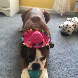 Team Page: Team Tallie